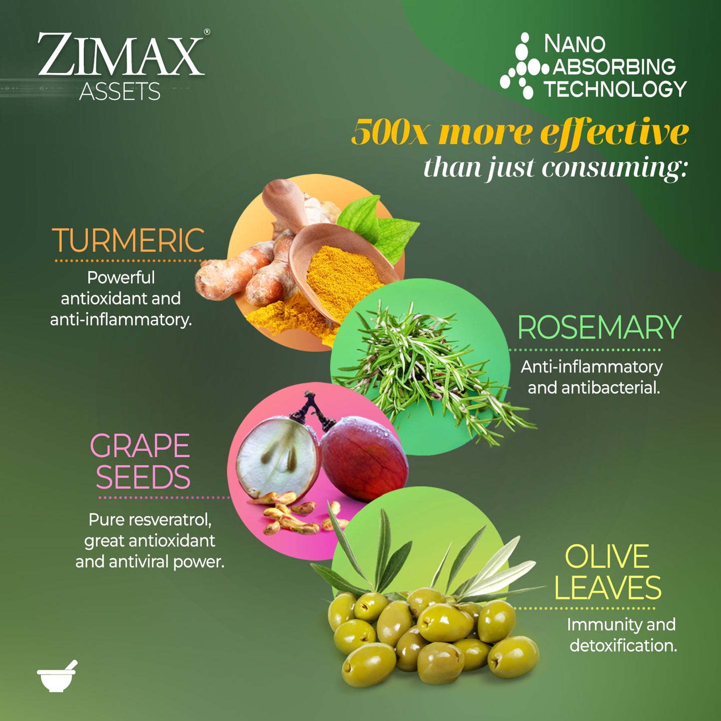 ZIMAX® Antioxidant and Anti-inflammatory (30 day-supply canister)®