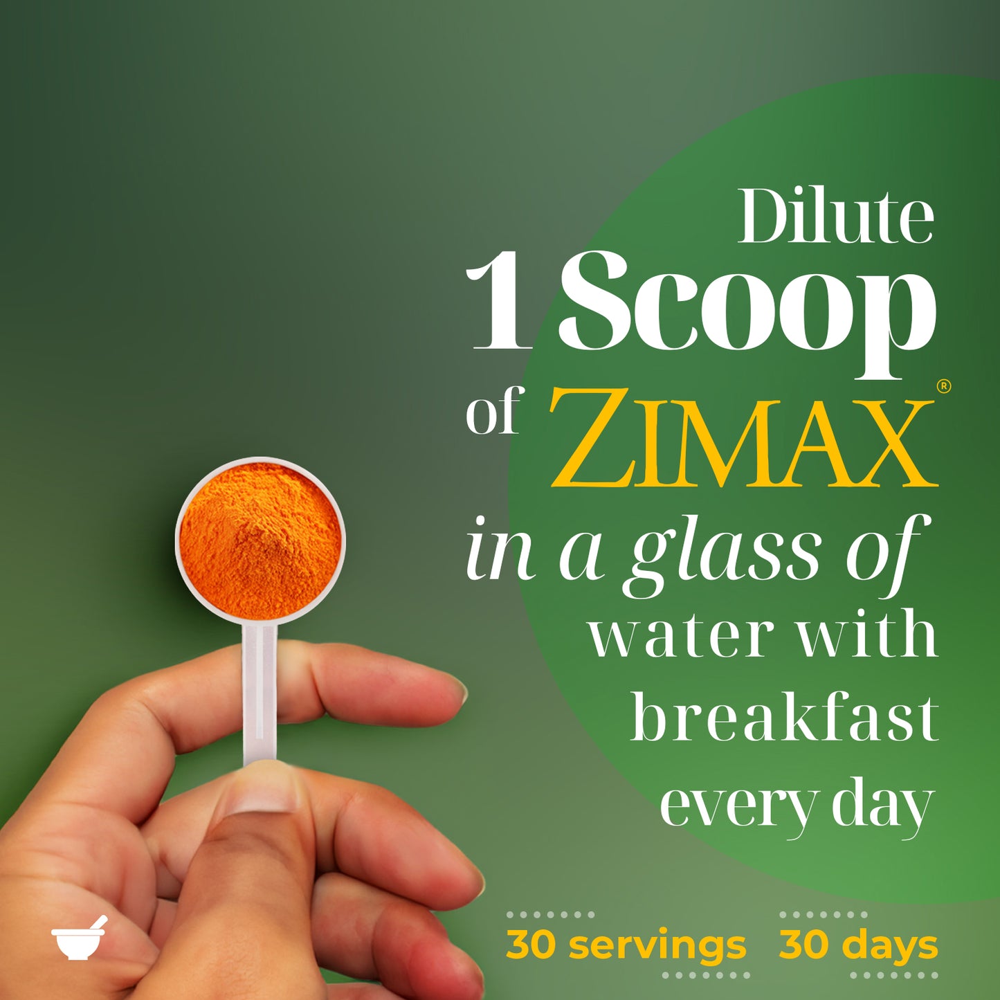 ZIMAX® Antioxidant and Anti-inflammatory (30 day-supply canister)®