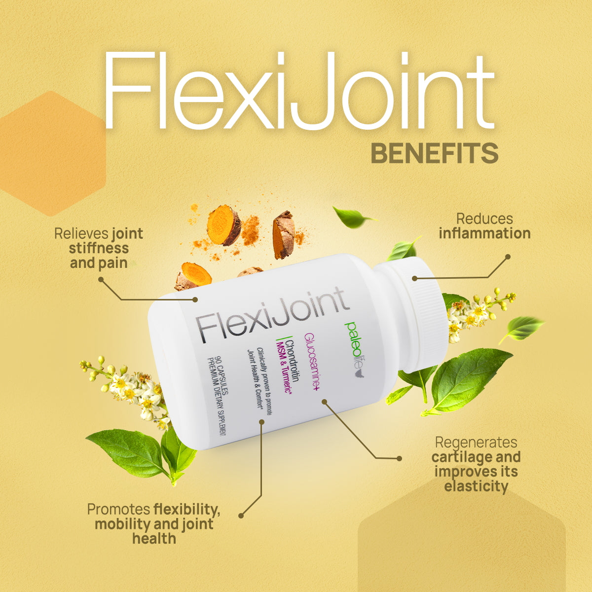 Flexijoint: Glucosamine + Chondroitin + MSM